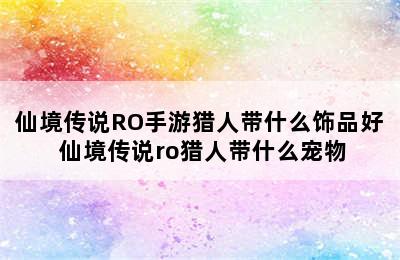 仙境传说RO手游猎人带什么饰品好 仙境传说ro猎人带什么宠物